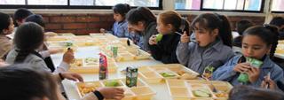 Ponencias de la jornada europea de nutrición saludable en la infancia