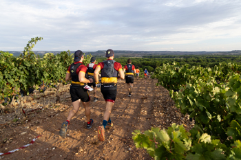 El 14 de septiembre de 2024 se celebra la 6ª Ribera Run Experience